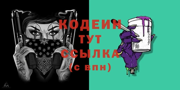 индика Бронницы